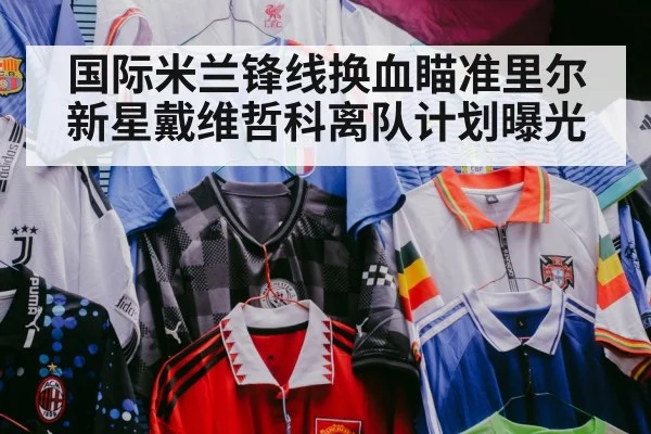 国际米兰锋线换血瞄准里尔新星戴维哲科离队计划曝光